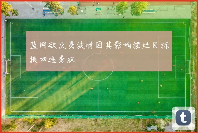 篮网欲交易波特因其影响摆烂目标换回选秀权