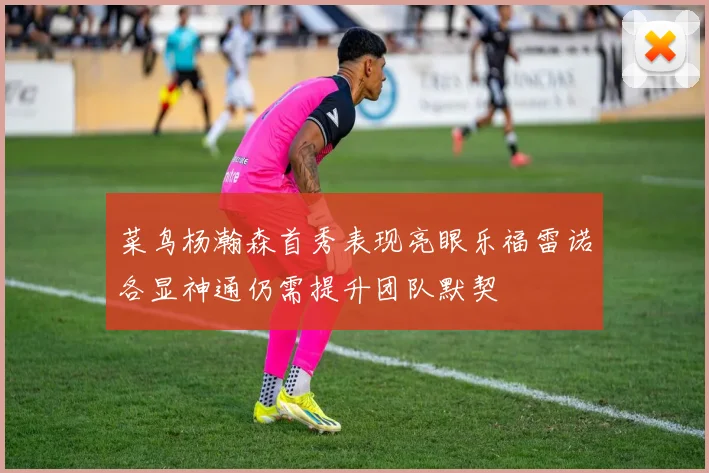 菜鸟杨瀚森首秀表现亮眼乐福雷诺各显神通仍需提升团队默契