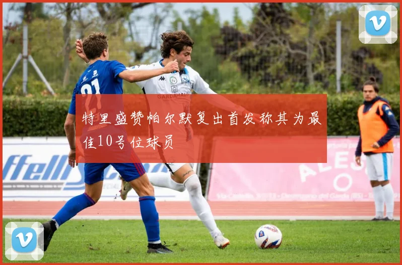 特里盛赞帕尔默复出首发称其为最佳10号位球员