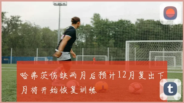 哈弗茨伤缺两月后预计12月复出下月将开始恢复训练