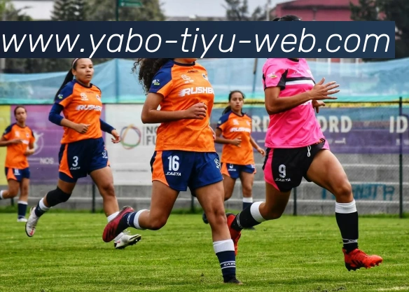 亚博体育服务体系